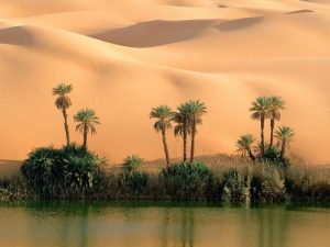 desert-mirage-1