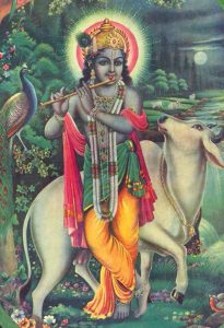krisna1