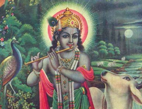 Bog ni poceni, odlomek iz knjige Pot domov