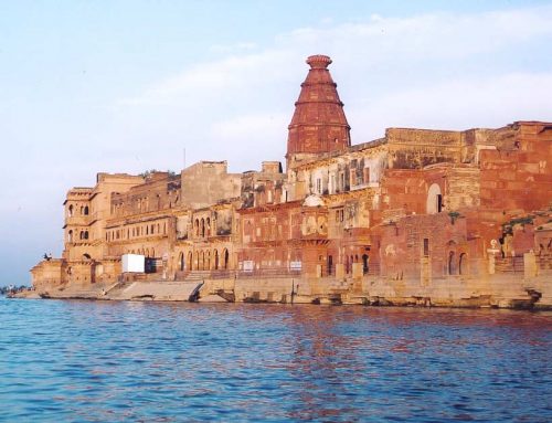 Prihod v Vrindavan, odlomek iz knjige Pot domov