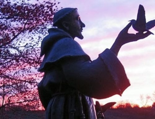 Modrost starega meniha, odlomek iz knjige Pot domov