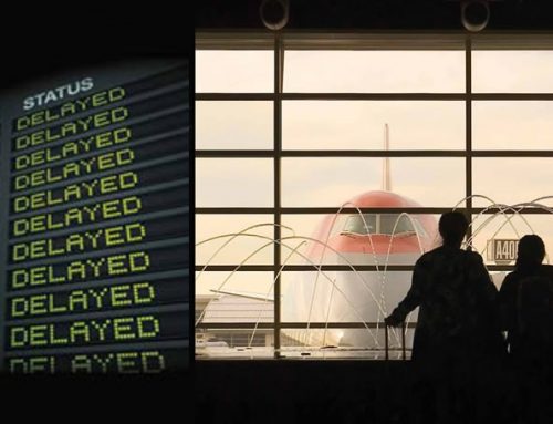 Dorothyjina življenska zgodba